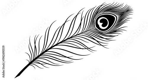 Detailed illustration of a single peacock feather showcasing its intricate patterns and eye-catching design