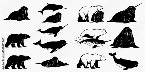 Arctic Animals Silhouettes Set: Polar Bears, Walruses, Narwhals, and Beluga Whales Vector Illustration.
