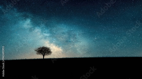 Lone tree silhouette under a starry night sky serene landscape