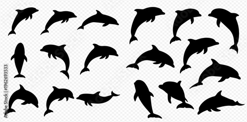 Set of various dolphin silhouettes in different poses, showcasing their graceful movements in the water.
