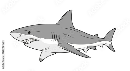 Gray shark swimming in ocean water.