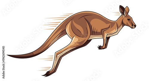 Kangaroo in motion fast running animal.