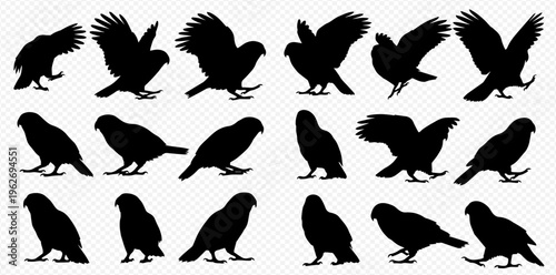 Set of various owl silhouettes in different poses, including flying, standing, and walking, on a transparent background.