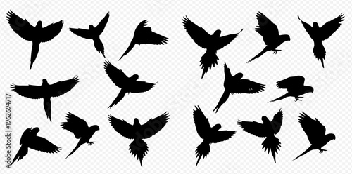 Collection of flying parrot silhouettes in various dynamic poses, isolated on a transparent background, depicting freedom and avian motion.