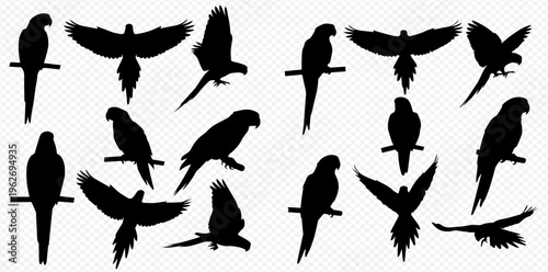 Collection of parrot silhouettes in various poses including perching, flying, and standing, isolated on a transparent background.