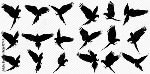 Collection of various flying parrot silhouettes isolated on a transparent background, showcasing different poses and movements of the tropical bird.