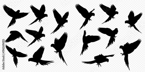 Collection of flying parrot silhouettes in various poses, isolated on a transparent background, depicting tropical birds in flight.
