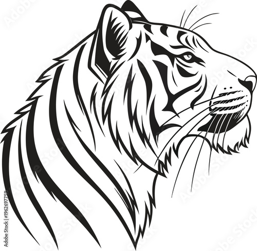 tiger head vector