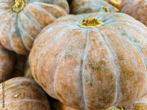 Close-up of fresh pumpkins stacked together at a market, highlighting natural ridged skin texture and earthy colors. Nutritious autumn squash widely used in cooking, soups, desserts, and seasonal dish