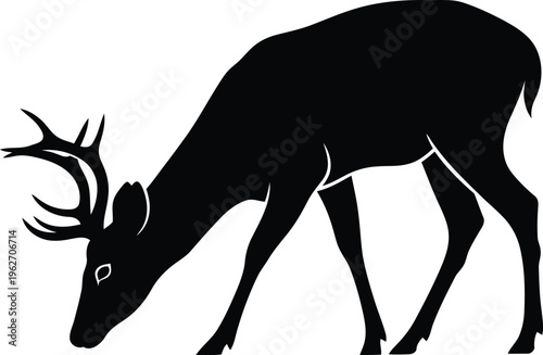 Black silhouette of a grazing stag deer for wildlife design projects