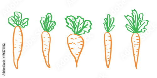 Hand drawn farm carrot plant with green leaves Fresh vegetable doodle set Healthy eco food Organic garden vegetarian food For design, print, packaging, decor, kids books