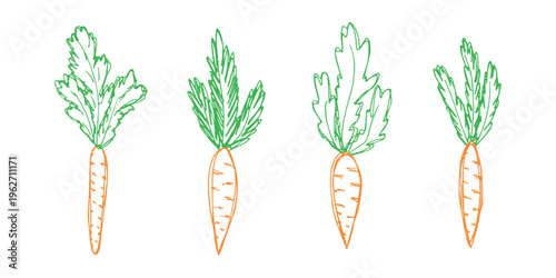 Hand drawn farm carrot plant with green leaves Fresh vegetable doodle set Healthy eco food Organic garden vegetarian food For design, print, packaging, decor, kids books