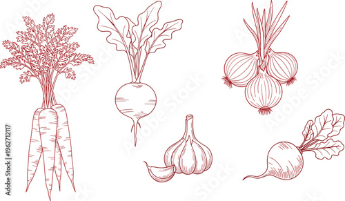 Line art vegetables red ink sketch on transparent background.