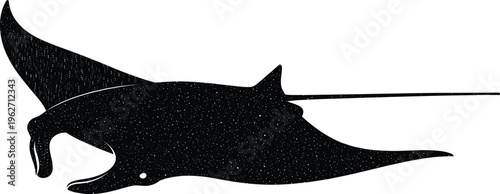 Silhouette of manta ray with white dots resembling stars on dark background.