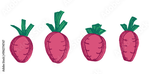 Hand drawn farm daikon radish beet beetroot plant with green leaves Fresh vegetable doodle set Healthy eco food Organic garden vegetarian food For design, print, packaging, decor, kids books