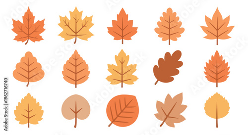Autumn Leaves Flat Vector Illustration Set - Colorful Fall Foliage Collection