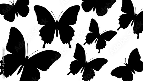 Set of Butterfly Silhouette