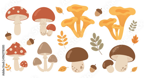Nature Autumn Mushrooms Flat Vector Illustration Set with Forest Fungi, Acorns, Leaves