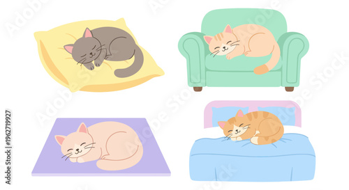 Cute Cats Sleeping Comfortably on Pillows, Sofa, and Bed - Flat Vector Art