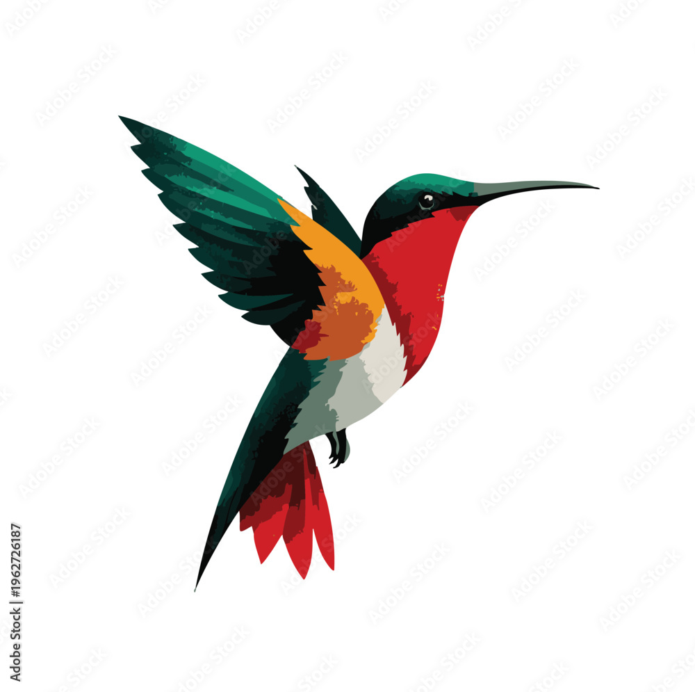 Fototapeta premium Colorful vector hummingbird