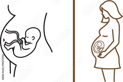 Two minimalist brown line art illustrations: a detailed view of a fetus inside the womb and a full profile of a pregnant woman in a dress, symbolizing motherhood and prenatal care.