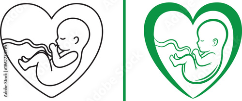 Two minimalist vector icons of a fetus within a heart-shaped womb. One features thin black lines, while the other uses a bold green outline to symbolize health, nature, and prenatal life.