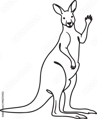 Kangaroo Outline Silhouette Minimal Animal Line Art Vector Illustration