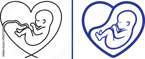Two minimalist vector illustrations of a fetus within a heart-shaped womb. One uses thin black lines with a crossed-ribbon base; the other features bold blue lines for a modern, clean look.