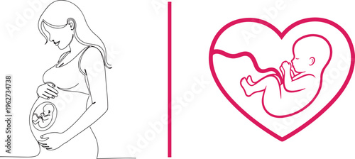 Minimalist line art of a pregnant woman and a fetus inside a heart shape. This vector uses thin lines and pink accents to symbolize maternal love and prenatal development.