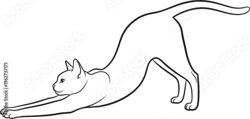 Cat stretching sideways in motion.