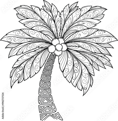 Detailed illustration of a palm tree 2.