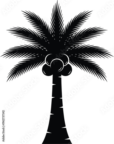 Detailed silhouette of a palm tree.