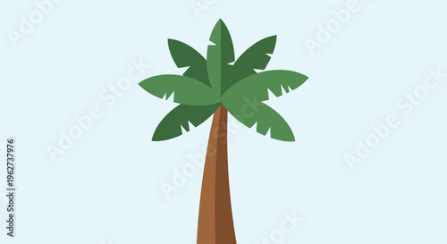 Palm tree with green leaves standing.