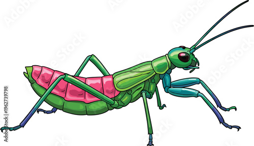 Whimsical Grasshopper Illustration with Watermelon Body Design, Ideal for Fun, Nature, and Insect-Themed Artwork