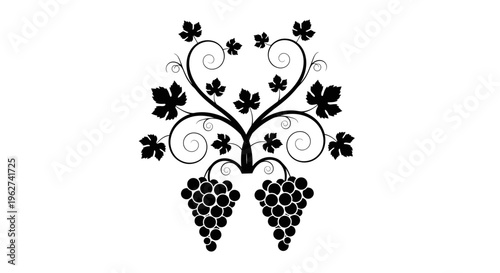 Ornate grapevine with bunches of grapes and swirling tendrils black silhouette design