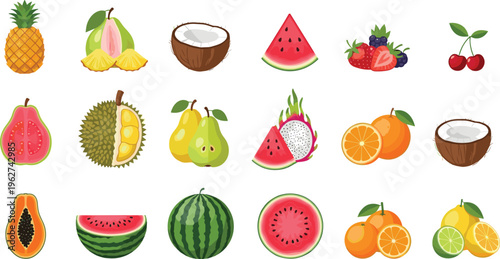 Colorful hand-drawn fruit vector collection with tropical and seasonal fruits including pineapple, coconut, watermelon, berries, citrus, and exotic fruits for culinary and design projects
