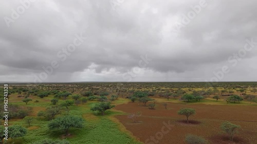 Llanos de Hiray Baja California Sur Mexico Vast Desert Plains Aerial 4K