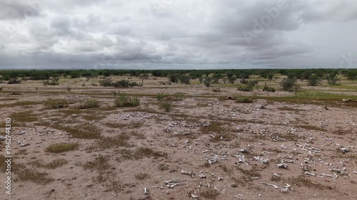 Llanos de Hiray Baja California Sur Mexico Vast Desert Plains Aerial 4K