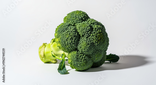Fresh Broccoli on a Minimalist Background