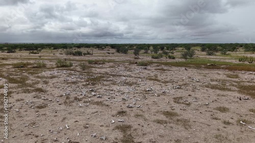 Llanos de Hiray Baja California Sur Mexico Vast Desert Plains Aerial 4K