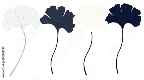 Artistic depiction of four stylized ginkgo leaves, presented in monochrome and contrasting hues