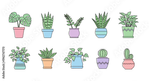 Colorful potted houseplants and succulents.