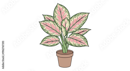Colorful Potted Houseplant with Green Leaves.
