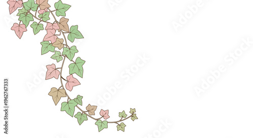 Ivy leaves with pink flowers.