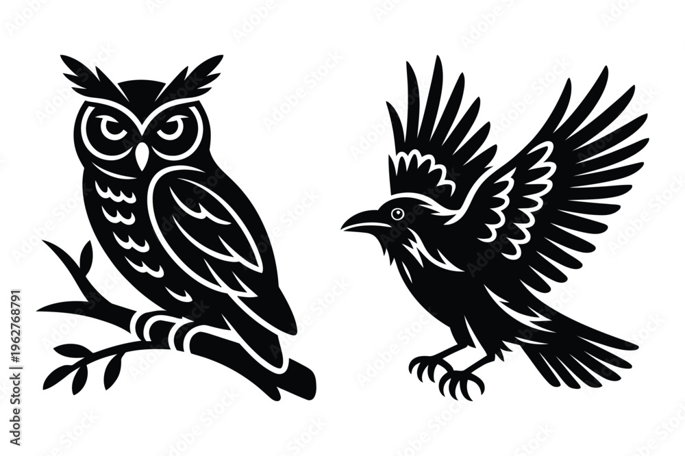 Fototapeta premium Silhouette of an owl on a branch and a crow in flight