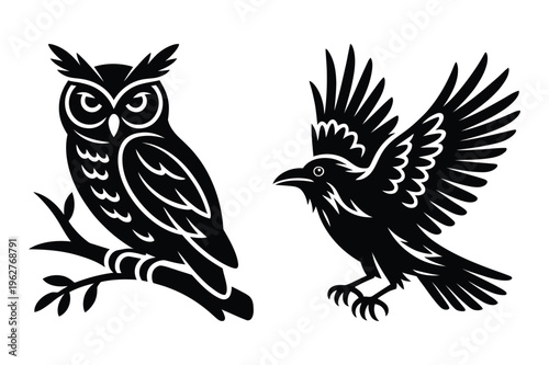 Silhouette of an owl on a branch and a crow in flight