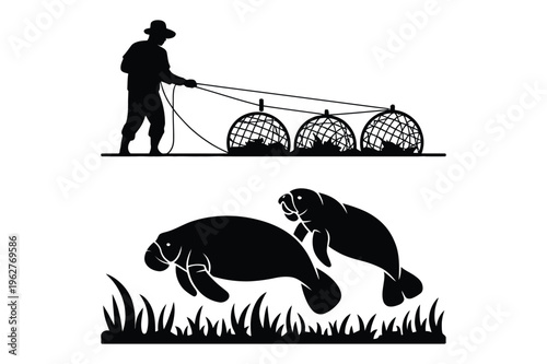 Fisherman catching manatees in cages illustration