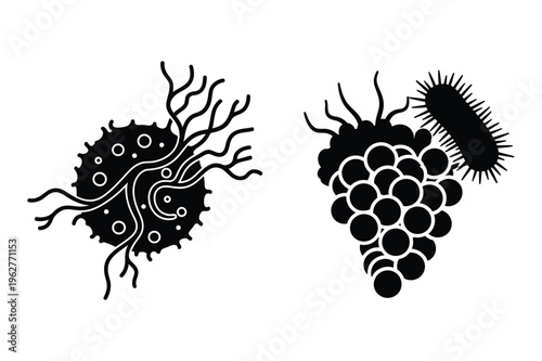 Diverse microorganisms and bacteria silhouette vector science graphics