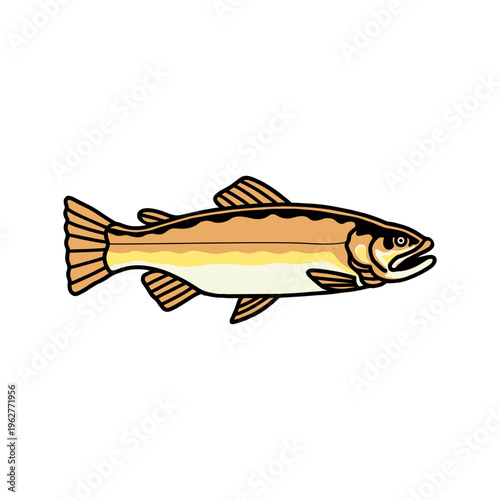 Golden Rainbow Trout Fish Cartoon Vector Illustration