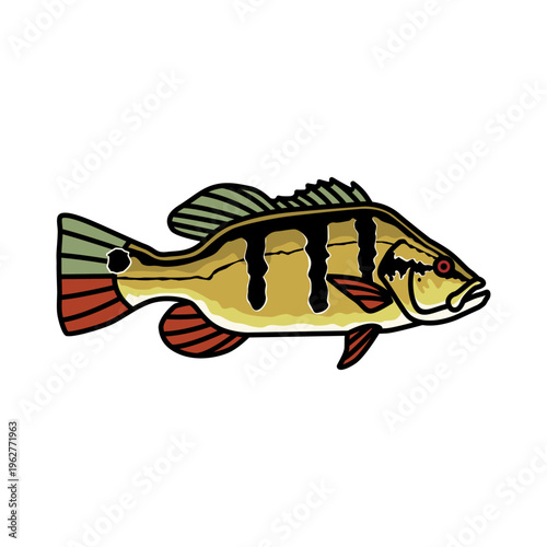 peacock bass Fish Cartoon Vector Illustration